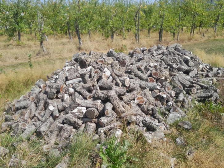 bois de chauffage, Tuin en Terras, Brandhout, Blokken, Overige houtsoorten, Ophalen