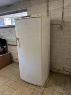 Diepvries AEG Electrolux, Gebruikt, 160 cm of meer, Ophalen, Vrieskast