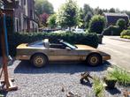 Uniek Gouden Chevrolet Corvette object, Te koop, Corvette, Particulier