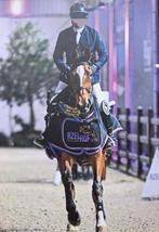 Springpaard: Merrie 2017, Dieren en Toebehoren, Merrie, Z, Springpaard