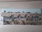 Glasschilderij zebra, Ophalen, 50 tot 75 cm, Zo goed als nieuw, 100 tot 125 cm