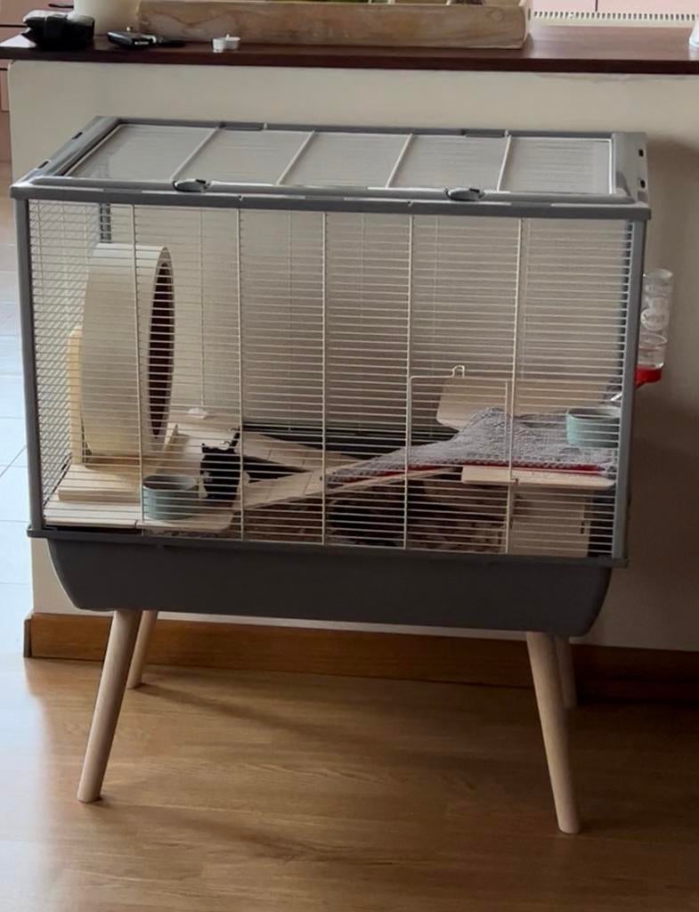 Cage à hamster avec accessoires, Animaux & Accessoires, Rongeurs & Lapins | Cages & Clapiers, Comme neuf, Cage, Hamster, Enlèvement