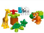 LEGO DUPLO 10801 Les bébés animaux du monde, Comme neuf, Duplo, Ensemble complet, Enlèvement ou Envoi