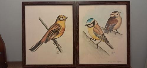 2 x 26 cm x 32 cm Petrus DE LEEUW, Verzamelen, Dierenverzamelingen, Zo goed als nieuw, Ophalen