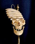 Gesneden beauchene schedel mens, Verzamelen, Ophalen, Schedel