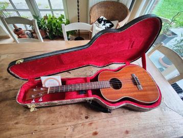 Kala Gloss Mahogany Baritone Ukulele