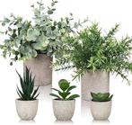 Set van 5 kunstplanten | GRATIS LEVERING, Binnen, -, Verzenden, -