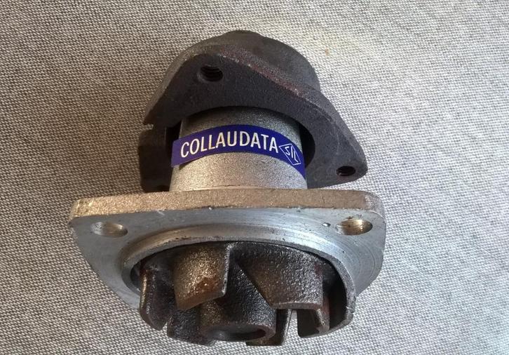 Autobianchi - Fiat 238 –  Waterpomp, Auto-onderdelen, Overige Auto-onderdelen, Fiat, Nieuw, Ophalen of Verzenden