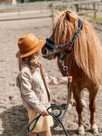 A pony, Gechipt, Ruin, A pony (tot 1.17m), 7 tot 10 jaar