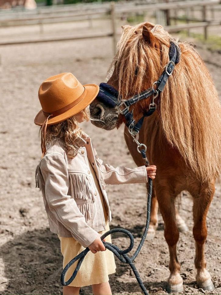 A pony, Dieren en Toebehoren, Pony's, Ruin, A pony (tot 1.17m), Westernpony, 7 tot 10 jaar, Met stamboom, Gechipt, Ontwormd, Ingeënt