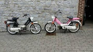 Honda Camino gezocht  beschikbaar voor biedingen