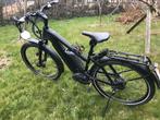 E-bike Riese und Muller Speedelec, Fietsen en Brommers, Elektrische fietsen, Ophalen, Gebruikt, 50 km per accu of meer, Riese & Müller