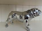Bulldog, Ophalen of Verzenden, Zo goed als nieuw, Dier