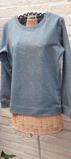 Trui maat m babelut, Kleding | Dames, Truien en Vesten, Maat 38/40 (M), Ophalen of Verzenden, Zo goed als nieuw, Babelut