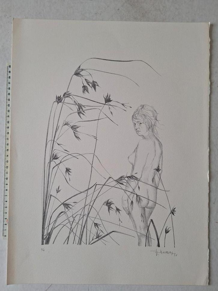 Originele litho van Vincent Thomas Naakte vrouw in het riet, Antiek en Kunst, Kunst | Litho's en Zeefdrukken, Ophalen of Verzenden