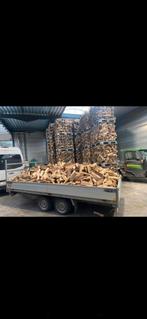 Brandhout eik beuk Essen, Tuin en Terras, Brandhout, Ophalen, Blokken