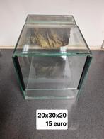 Terrarium 20 x 30 x 20 cm., Dieren en Toebehoren, Ophalen, Zo goed als nieuw
