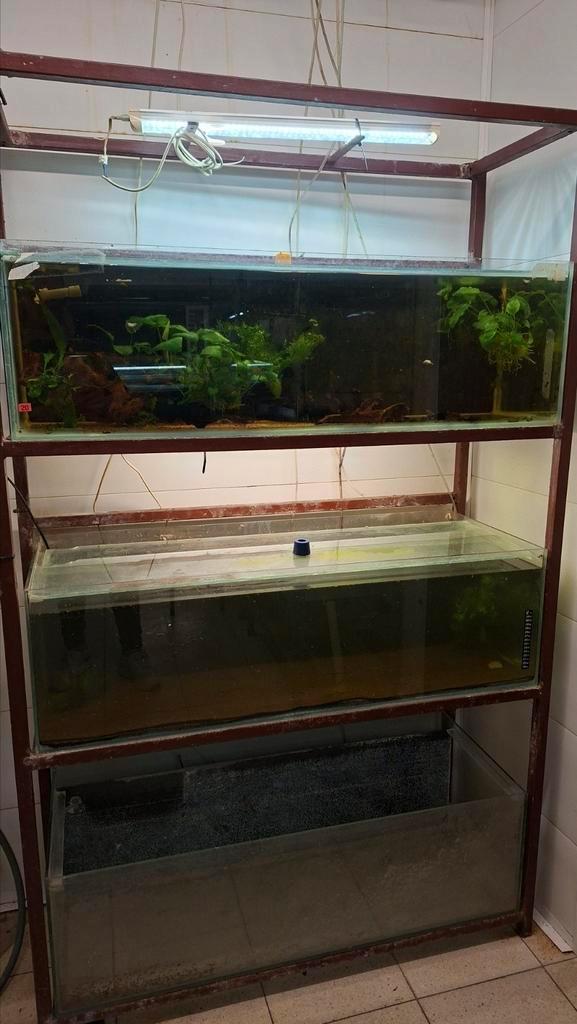 Aquarium stelling, Dieren en Toebehoren, Vissen | Aquaria en Toebehoren, Gebruikt, Leeg aquarium, Ophalen