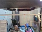 Ik verkoop mijn aquarium omdat ik stop met deze hobby. De af, Tuin en Terras, Overkappingen, Ophalen of Verzenden
