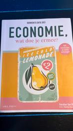 Karolien Van Riel - Economie, wat doe je ermee?, Ophalen, Nieuw, Karolien Van Riel; Valentijn Brasseur