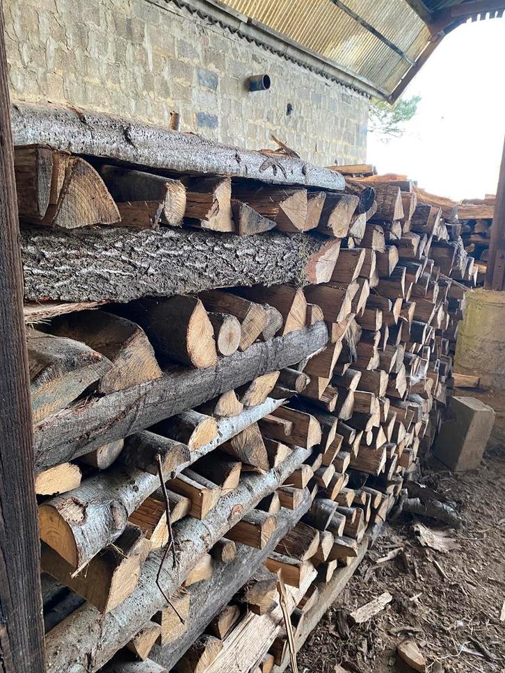 Bois de chauffage, Jardin & Terrasse, Bois de chauffage, Bûches, Frêne, Enlèvement ou Envoi