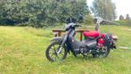 Honda Super Cub C125 (2024), Particulier, 125 cc, Overig, 11 kW of minder