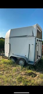 Paarden trailer voor 2 paarden te koop, Ophalen, Gebruikt, 2-paards trailer