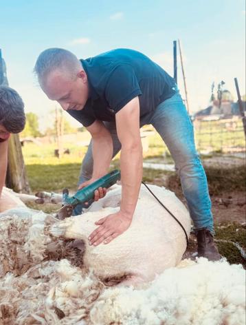 Scheren van schapen & alpaca’s