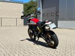 DUCATI DESERT SLED, Motos, Motos | Ducati, Autre, 2 cylindres, Plus de 35 kW, 803 cm³