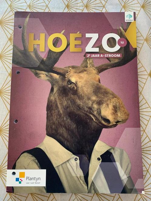 Hoezo 2 jaar A stroom, Boeken, Schoolboeken, Bedrijfseconomie, Ophalen