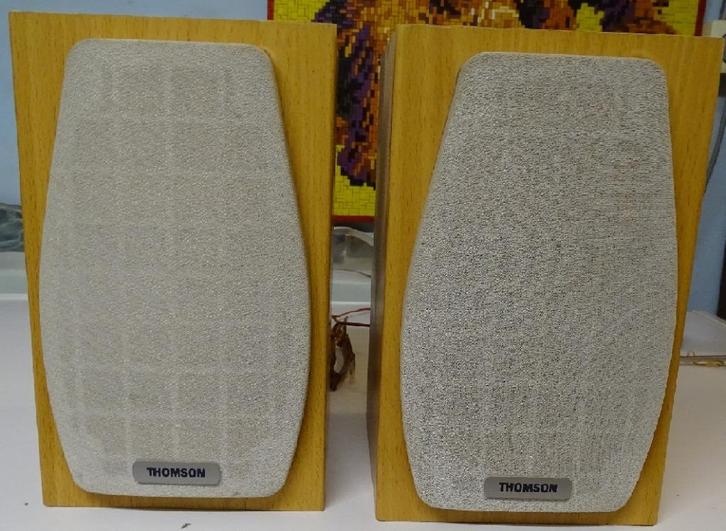 Enceintes Thomson 10 watts, Audio, Tv en Foto, Luidsprekerboxen, Zo goed als nieuw, Ophalen