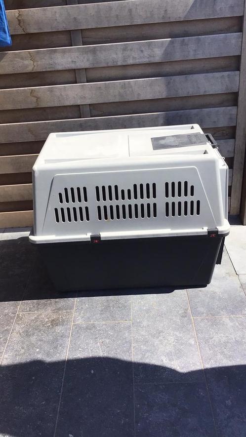 Bench, Dieren en Toebehoren, Hondenbenches, Gebruikt, Ophalen