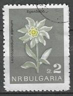 Bulgarije 1963 - Yvert 1209 - Edelweiss (ST), Postzegels en Munten, Postzegels | Europa | Overig, Bulgarije, Verzenden, Gestempeld