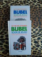 Bijbel, Boeken, Godsdienst en Theologie, Ophalen of Verzenden