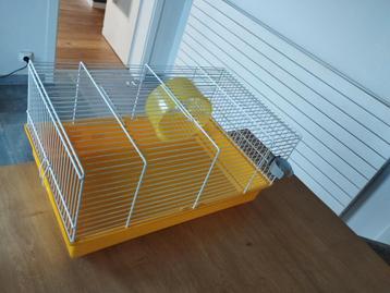 Cage pour hamster en bon état ! beschikbaar voor biedingen