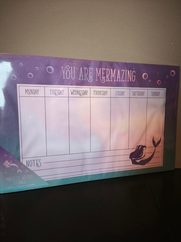 Organisateur hebdomadaire magnétique, Maison & Meubles, Accessoires pour la Maison | Tableaux d'affichage, Neuf, Autres types