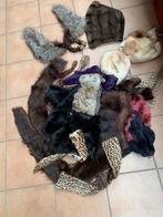 Een lot pelsjes meer dan 15, Kleding | Dames, Schoenen, Ophalen of Verzenden