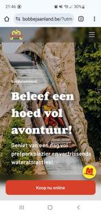 40% korting Bobbejaanland op max 4 of 8 tickets, Drie personen of meer, Kortingskaart