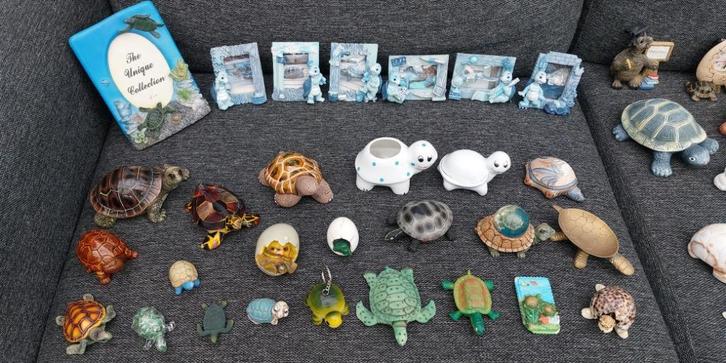 Schildpadden verzameling, Verzamelen, Dierenverzamelingen, Zo goed als nieuw, Beeldje of Figuurtje, Ophalen of Verzenden