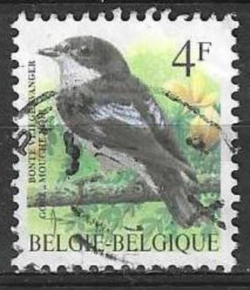Belgie 1996 - Yvert 2647 /OBP 2654 - Bonte Vliegenvange(ST) beschikbaar voor biedingen