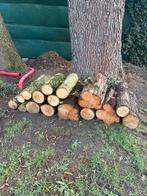 GRATIS BRANDHOUT, Tuin en Terras, Brandhout, 6 m³ of meer, Ophalen, Overige houtsoorten, Stammen