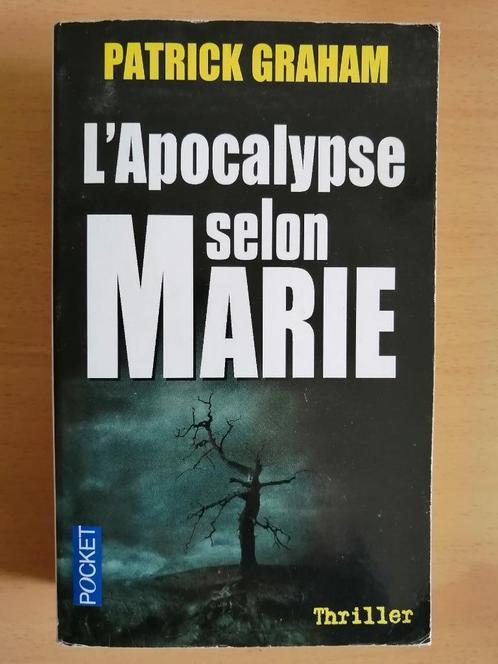 L'apocalypse selon Marie de Patrick Graham, Livres, Thrillers, Amérique, Enlèvement ou Envoi