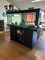 Aquarium, Dieren en Toebehoren, Ophalen, Gebruikt, Gevuld zeewateraquarium