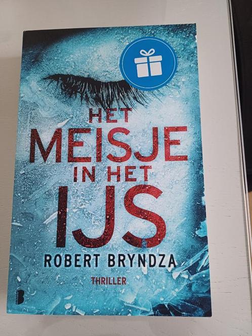 Het meisje in het ijs, Livres, Thrillers, Comme neuf, Europe autre, Enlèvement ou Envoi