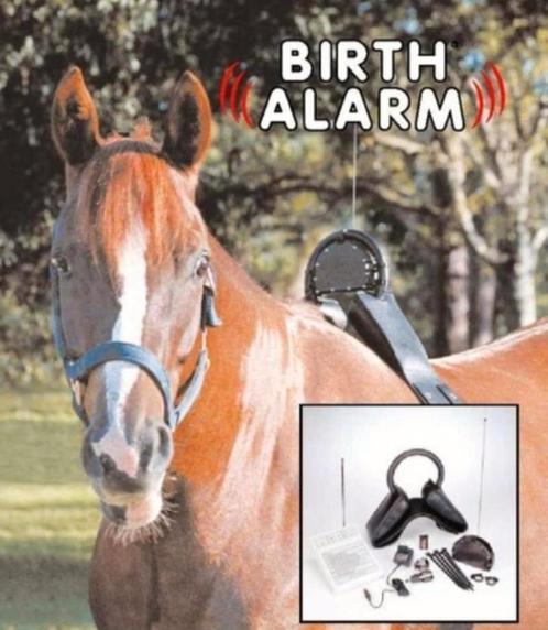 Birth alarm, Animaux & Accessoires, Chevaux & Poneys | Autres trucs de cheval, Comme neuf, Enlèvement ou Envoi