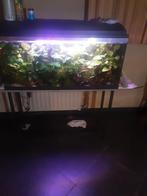 Verschillende aquariums te koop, Dieren en Toebehoren, Ophalen, Zo goed als nieuw