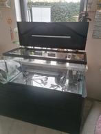 Ciano aquarium 80 cm, Ophalen