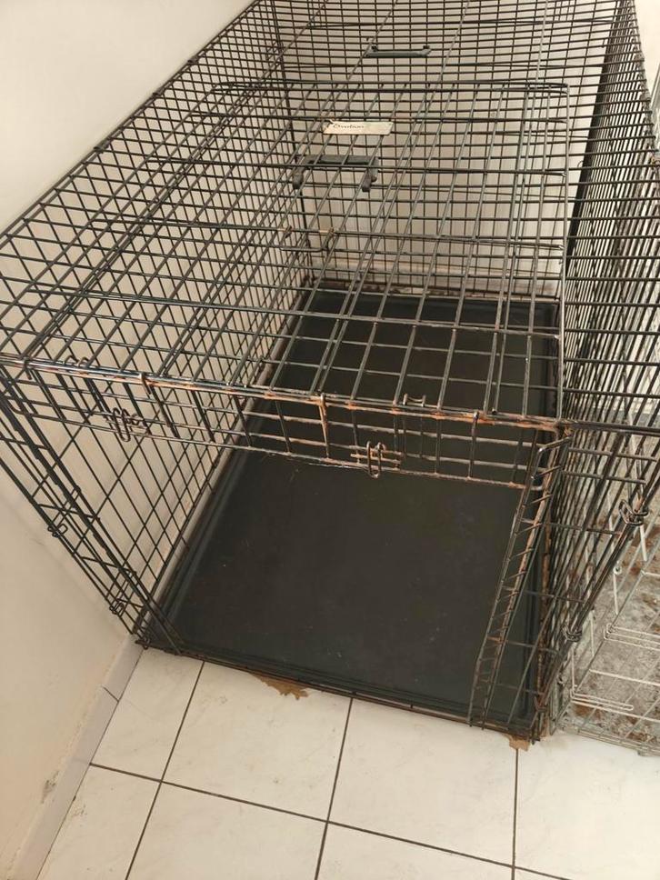 2 hondenkooien, Dieren en Toebehoren, Hondenhokken, Gebruikt, Hondenhok, 65 tot 100 cm, 110 cm of meer, Ophalen
