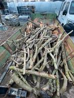 Container brandhout, Tuin en Terras, Brandhout, 3 tot 6 m³, Ophalen of Verzenden