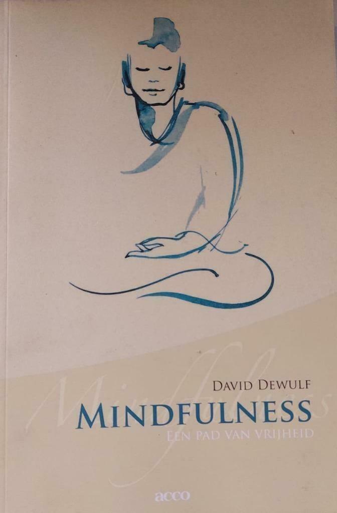 Mindfulness - David Dewulf, Boeken, Esoterie en Spiritualiteit, Zo goed als nieuw, Overige typen, Verzenden